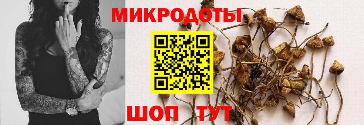 Бор  Галлюциногенные грибы GOLDEN TEACHER  Псилоцибиновые грибы Magic Shrooms  Вход с VPN 