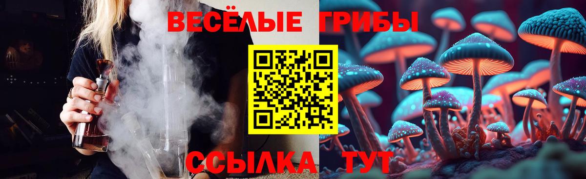 Галлюциногенные грибы MAGIC MUSHROOMS Бор